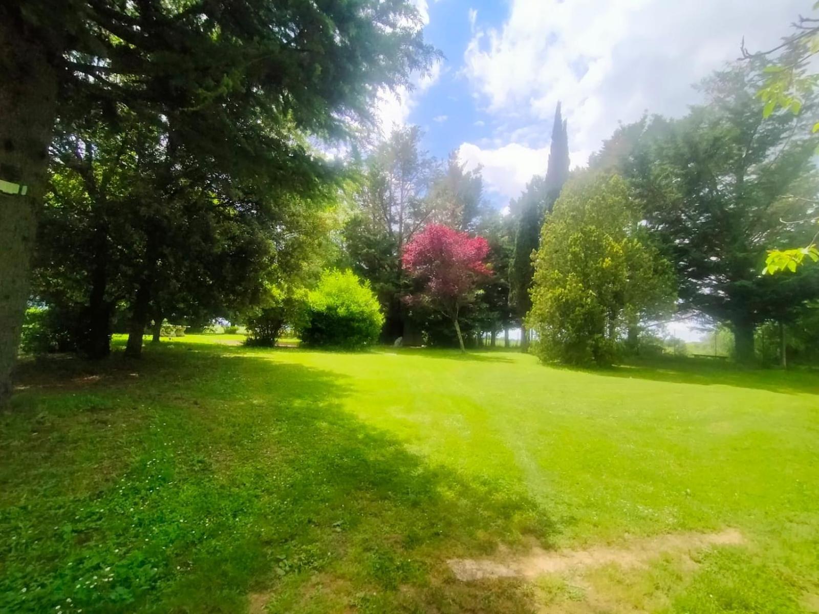 Villetta Con Parco Vicino San Gimignano Колле-ди-Валь-д'Эльса Экстерьер фото