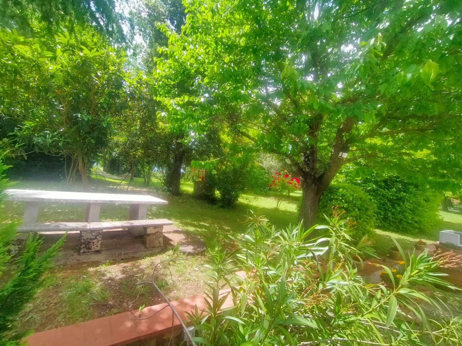 Villetta Con Parco Vicino San Gimignano Колле-ди-Валь-д'Эльса Экстерьер фото