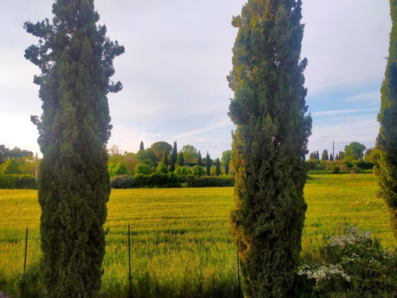 Villetta Con Parco Vicino San Gimignano Колле-ди-Валь-д'Эльса Экстерьер фото